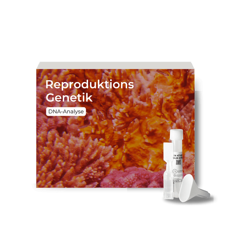 DNA-Analyse Reproduktionsgenetik Testkit Testkit für die DNA-Analyse zur Reproduktionsgenetik